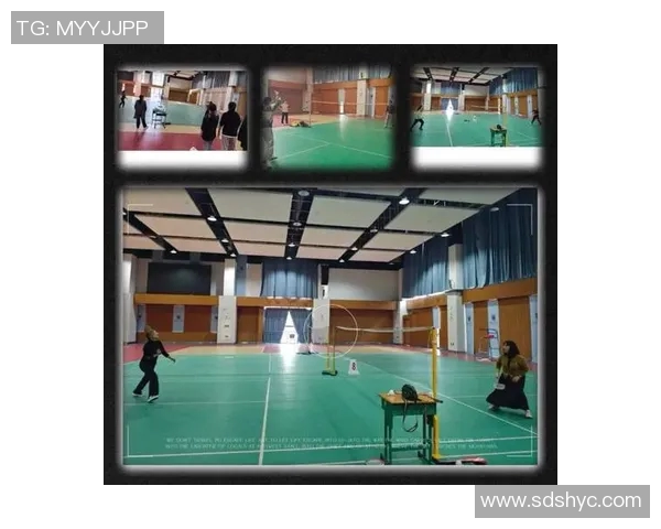 南京羽毛球队在精英赛中的技术表现分析与点评